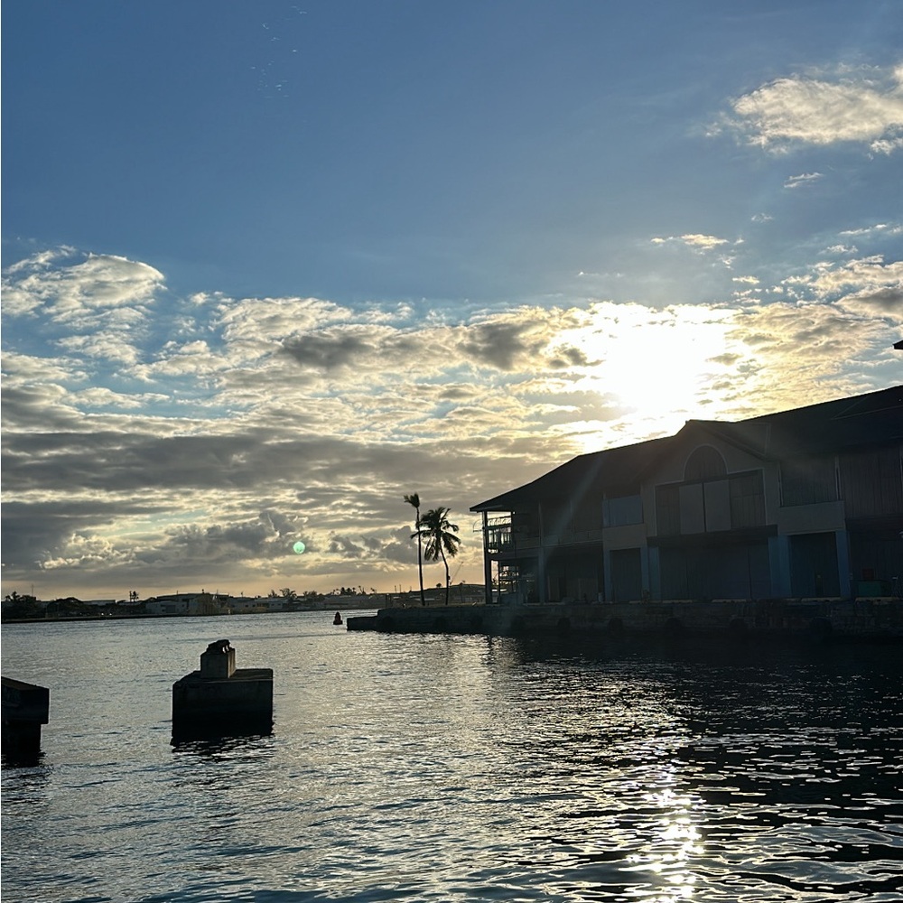 Meet your Posher, Taylor